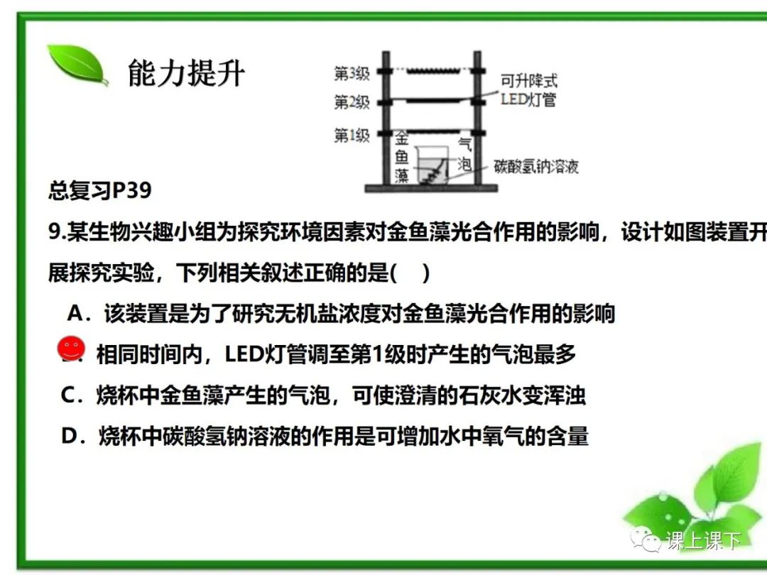 小中考复习课件7-----初一下绿色植物的光合作用 第28张