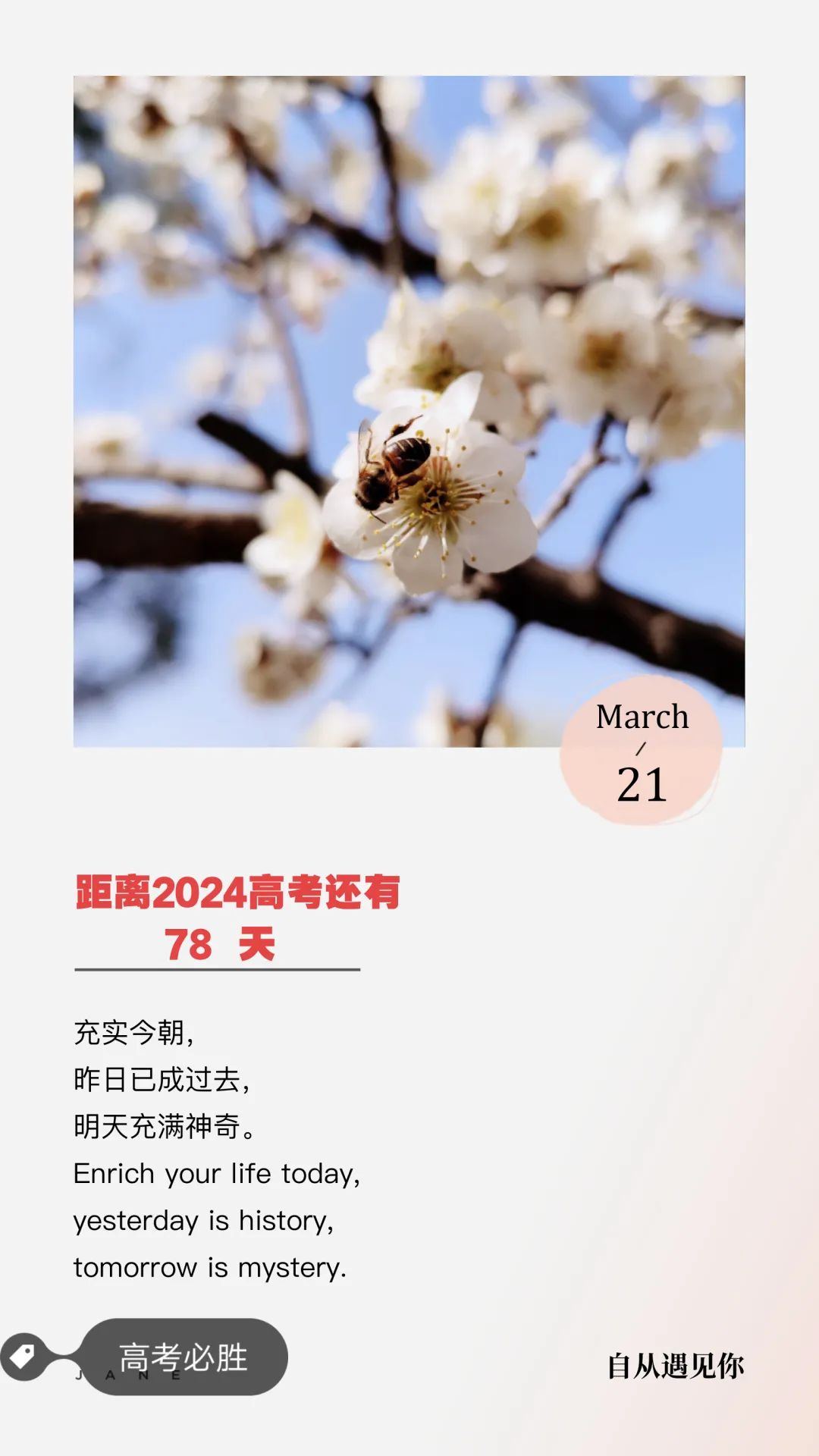 2024高考倒计时: 78 天 第1张