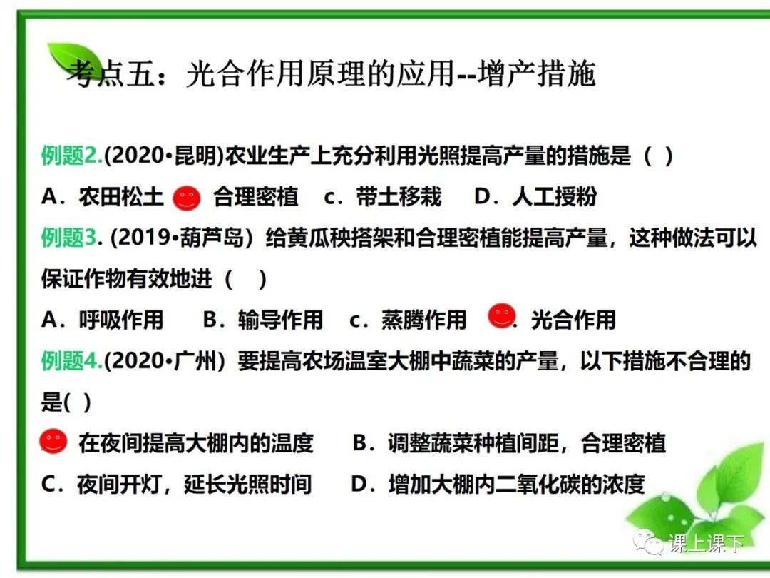 小中考复习课件7-----初一下绿色植物的光合作用 第24张