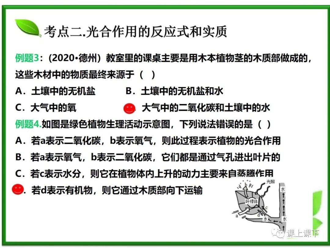 小中考复习课件7-----初一下绿色植物的光合作用 第7张