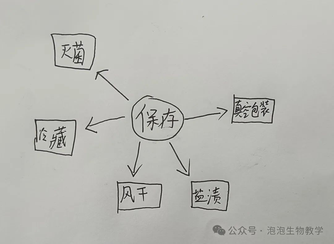 学生绘图2:思维导图运用到中考复习中 第3张