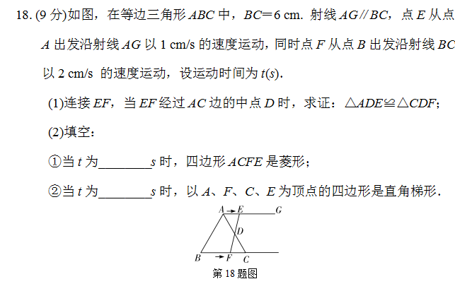 中考复习课:第四章三角形第二节 三角形及其性质(特殊三角形) 第32张