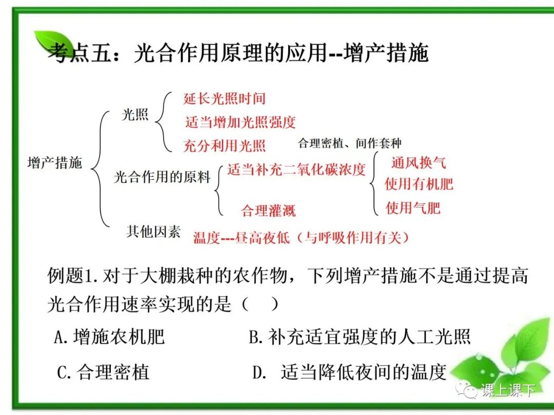 小中考复习课件7-----初一下绿色植物的光合作用 第23张