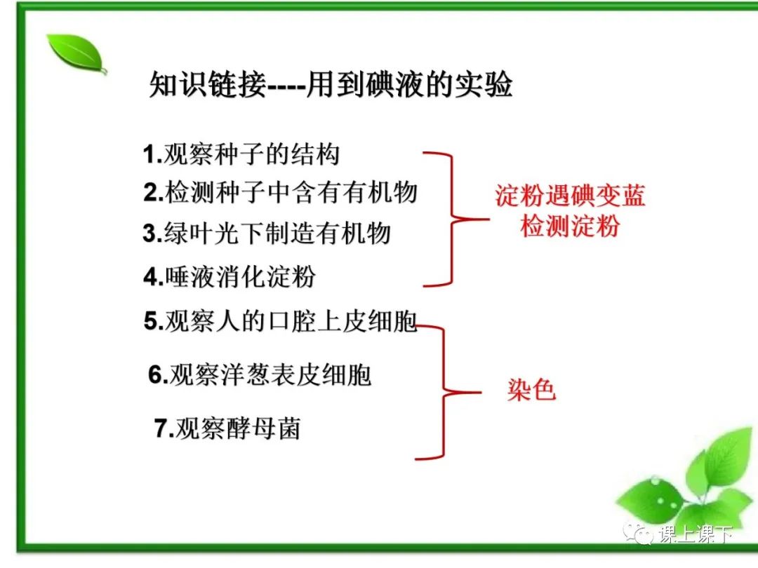 小中考复习课件7-----初一下绿色植物的光合作用 第16张