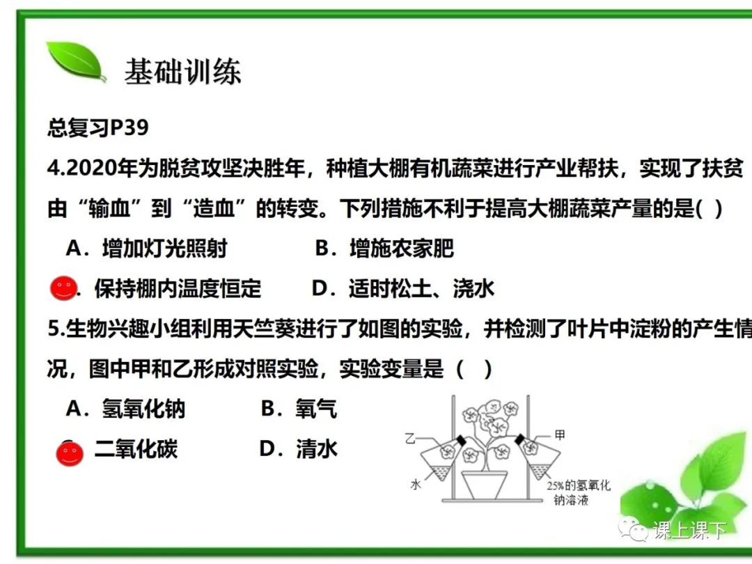 小中考复习课件7-----初一下绿色植物的光合作用 第26张