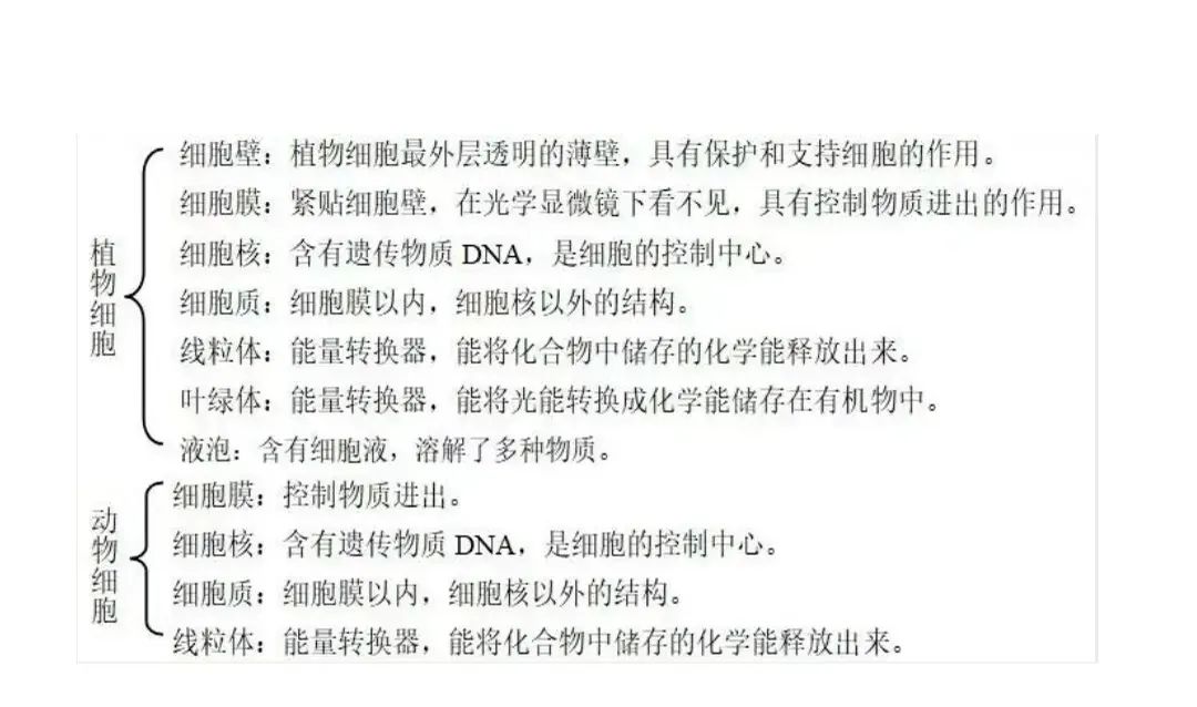 【初中生物】2024年中考生物复习知识清单(一) 第5张