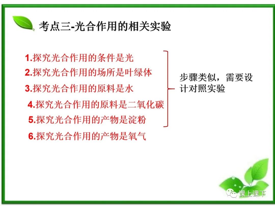 小中考复习课件7-----初一下绿色植物的光合作用 第8张