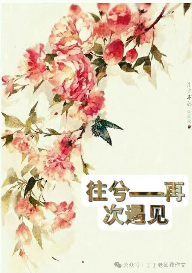 中考备考作文必读||这个新式写法,帮你开头摆脱俗套,作文加5分 第4张