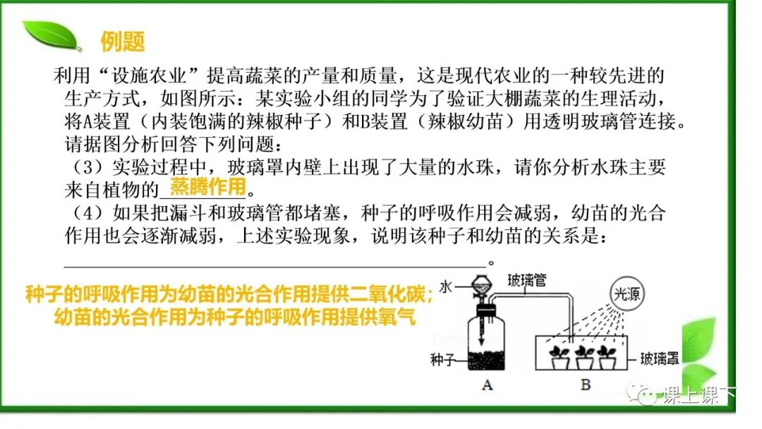 小中考复习课件8-----初一下绿色植物的呼吸作用 第6张