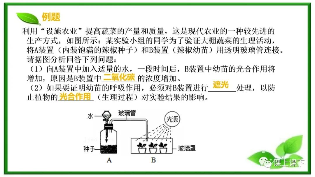 小中考复习课件8-----初一下绿色植物的呼吸作用 第5张