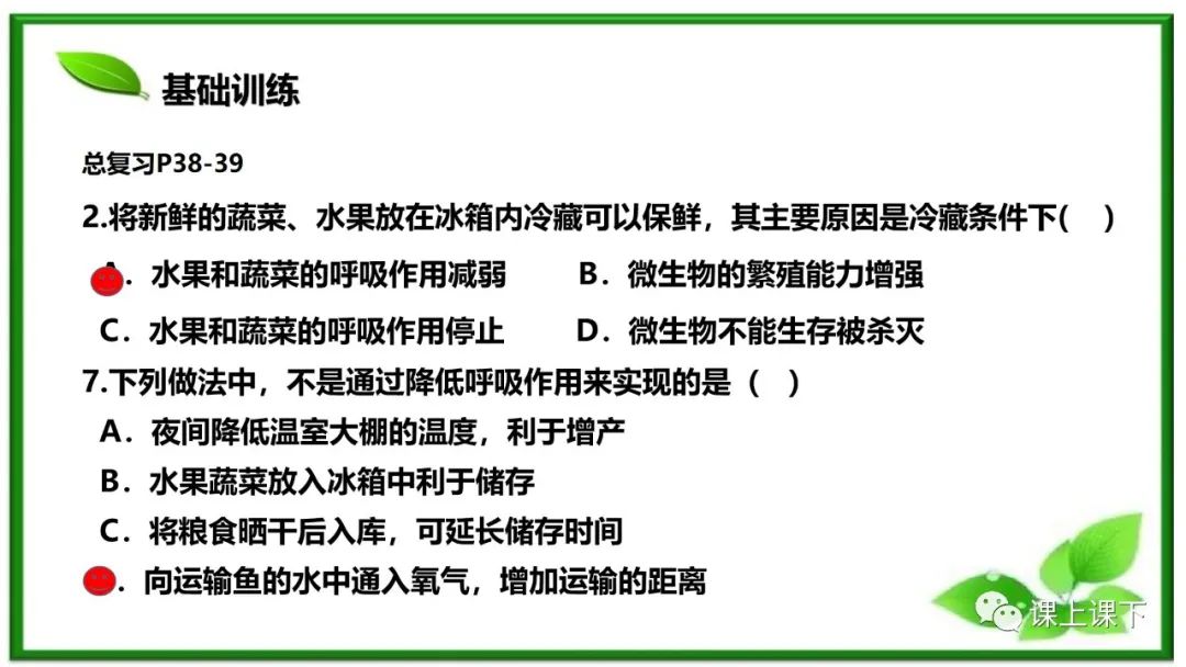 小中考复习课件8-----初一下绿色植物的呼吸作用 第20张