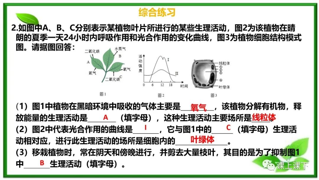 小中考复习课件8-----初一下绿色植物的呼吸作用 第17张