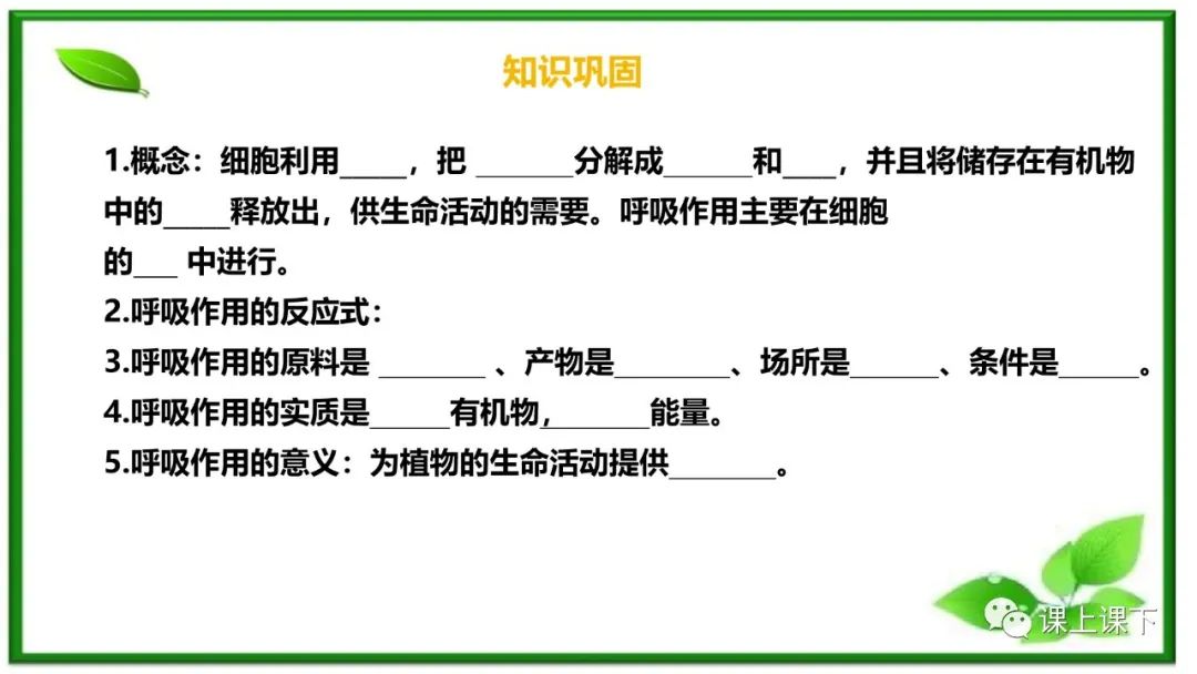 小中考复习课件8-----初一下绿色植物的呼吸作用 第8张