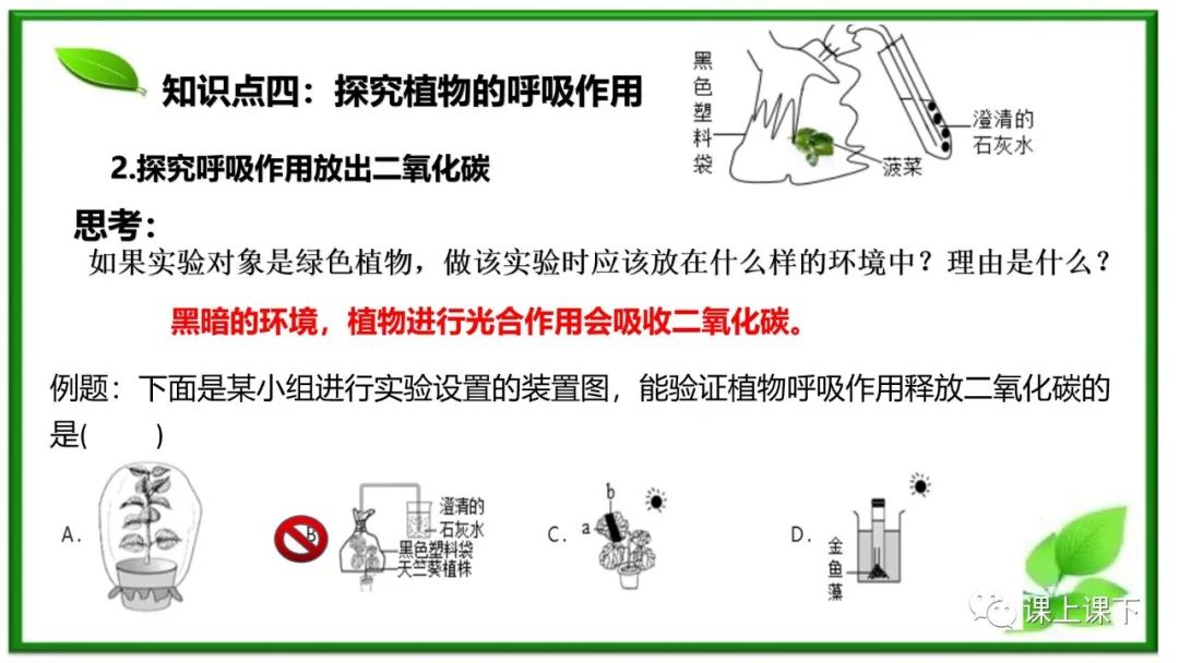 小中考复习课件8-----初一下绿色植物的呼吸作用 第11张