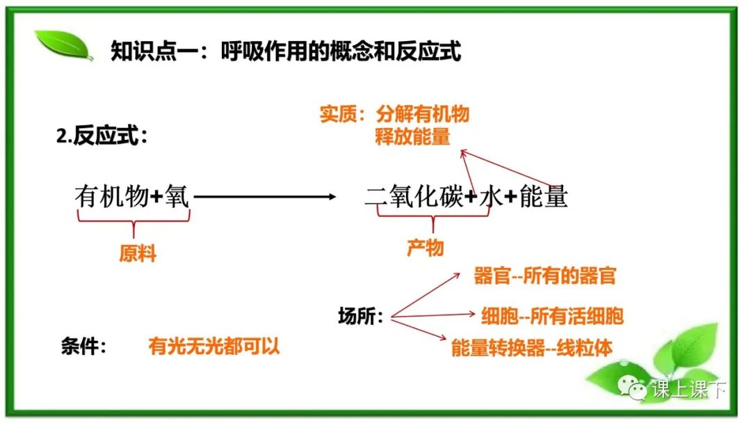 小中考复习课件8-----初一下绿色植物的呼吸作用 第3张