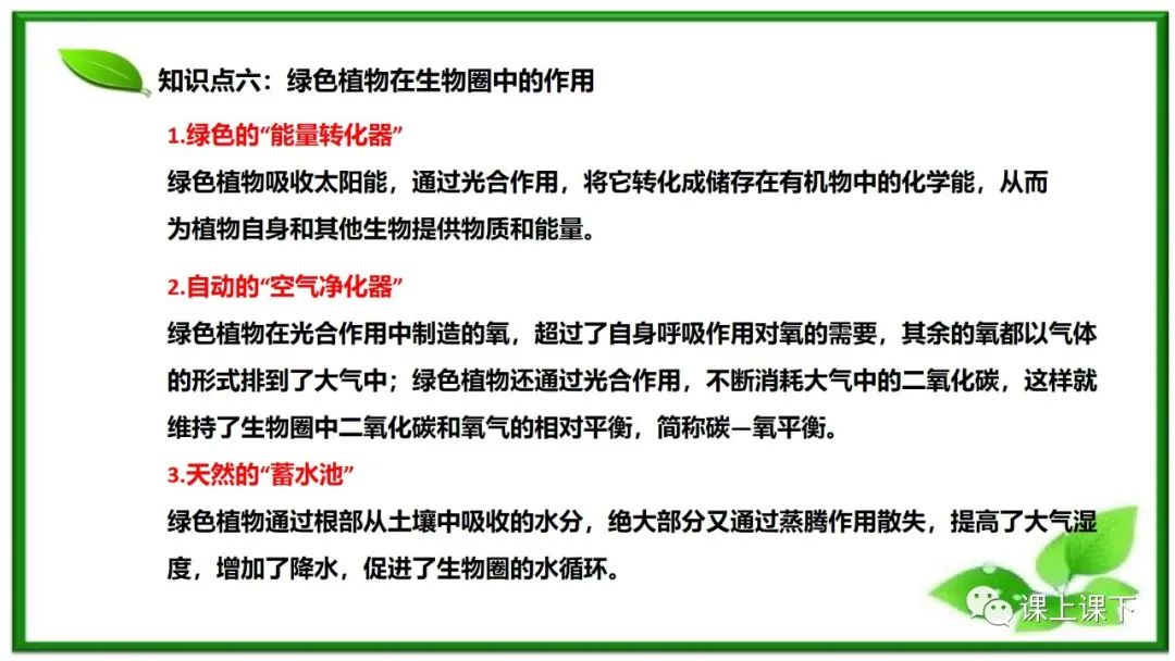 小中考复习课件8-----初一下绿色植物的呼吸作用 第15张