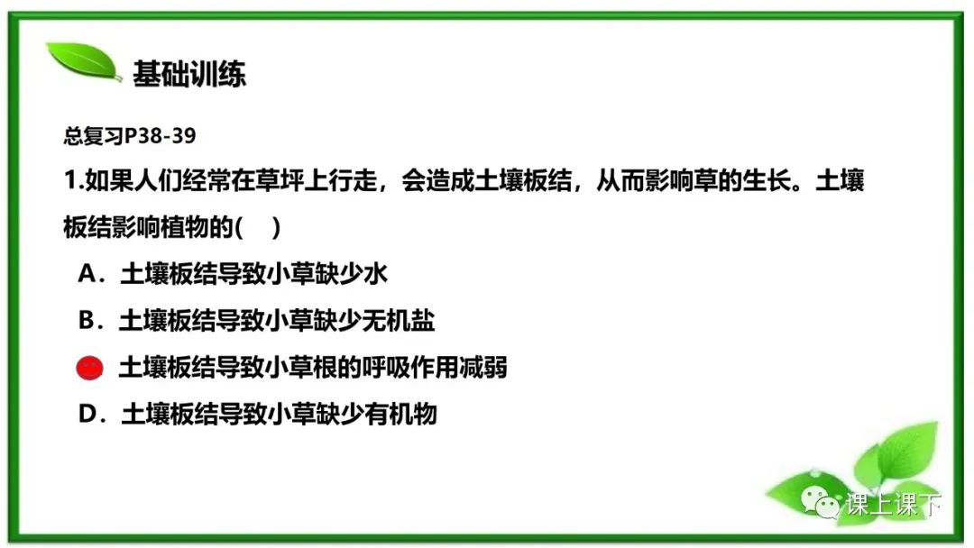 小中考复习课件8-----初一下绿色植物的呼吸作用 第19张