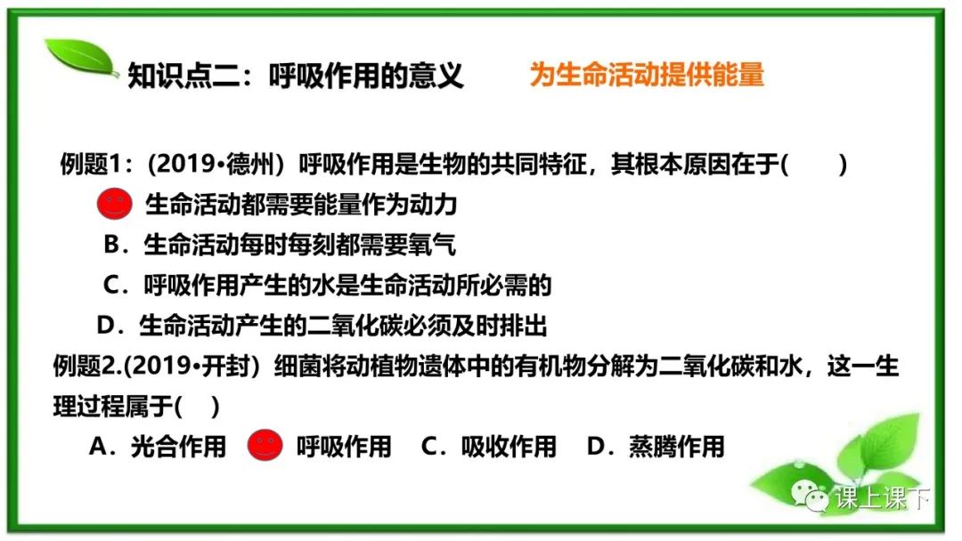 小中考复习课件8-----初一下绿色植物的呼吸作用 第7张