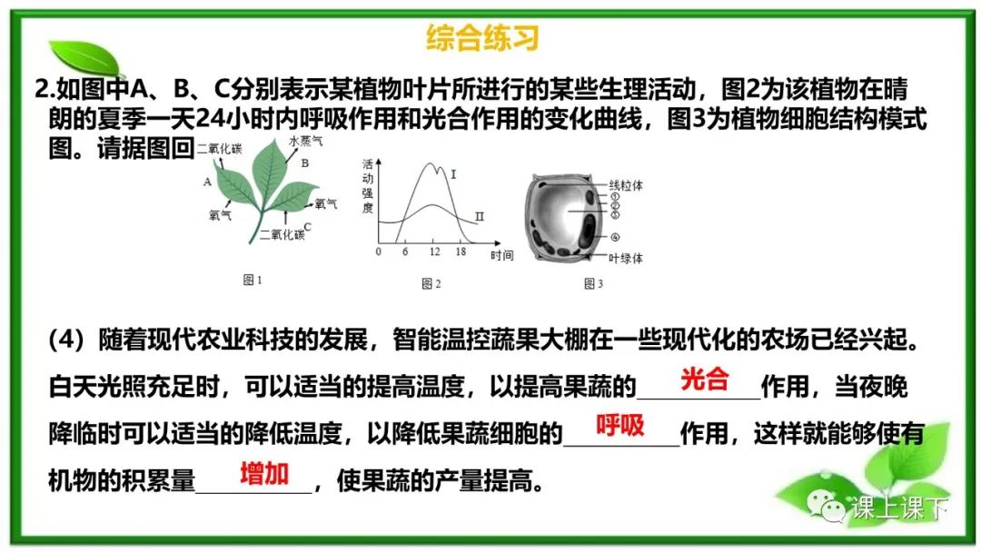 小中考复习课件8-----初一下绿色植物的呼吸作用 第18张