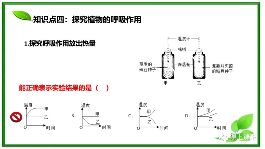 小中考复习课件8-----初一下绿色植物的呼吸作用 第9张