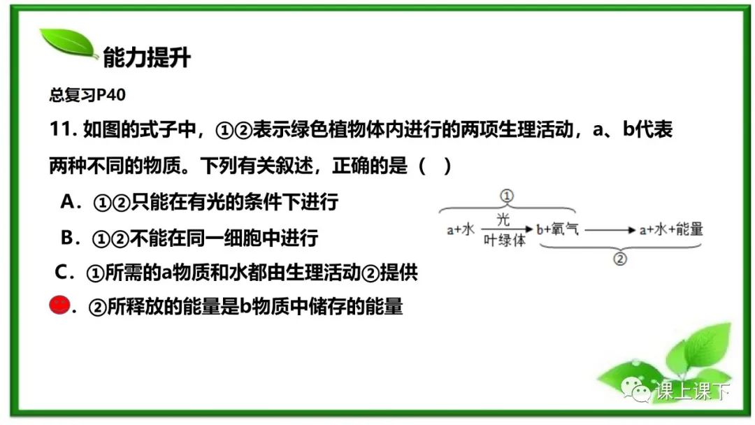 小中考复习课件8-----初一下绿色植物的呼吸作用 第22张