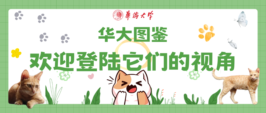 高考快讯 | 华侨大学2023年天津市各专业录取分数线 第19张