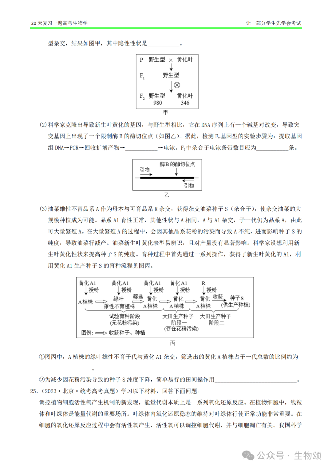 【20天复习完·打卡9天】高考生物(遗传变异和进化)专题训练! 第10张