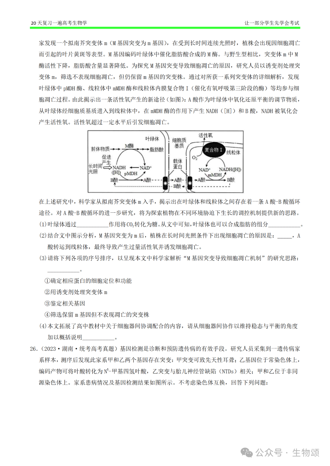 【20天复习完·打卡9天】高考生物(遗传变异和进化)专题训练! 第11张