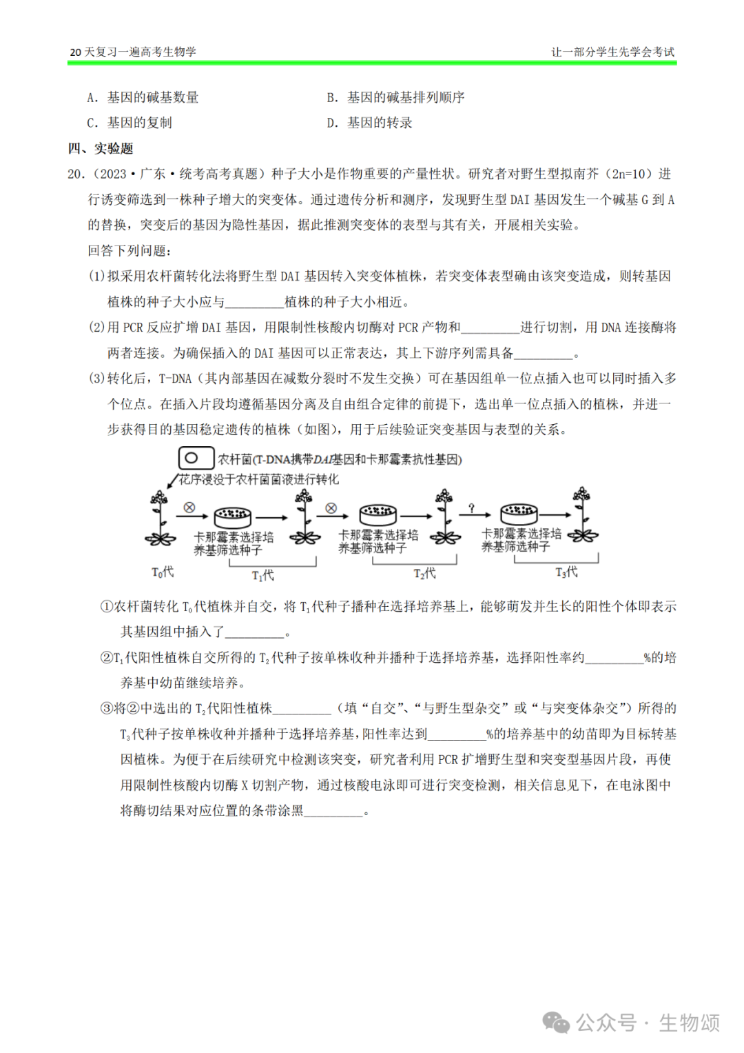 【20天复习完·打卡9天】高考生物(遗传变异和进化)专题训练! 第6张