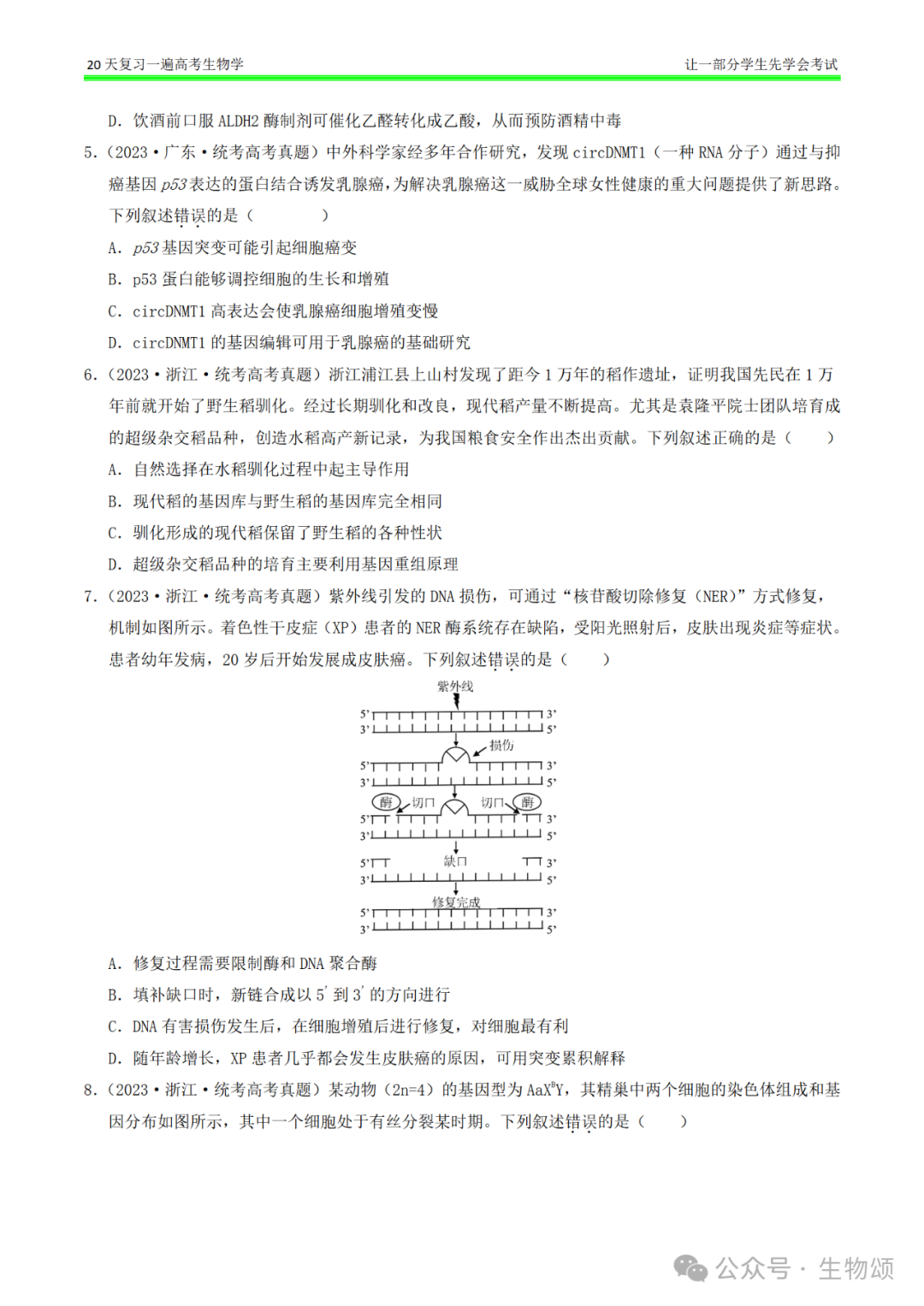 【20天复习完·打卡9天】高考生物(遗传变异和进化)专题训练! 第2张