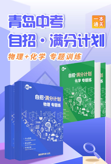 中考自招宝典!【物理+化学】手握这几本书进名校!! 第2张