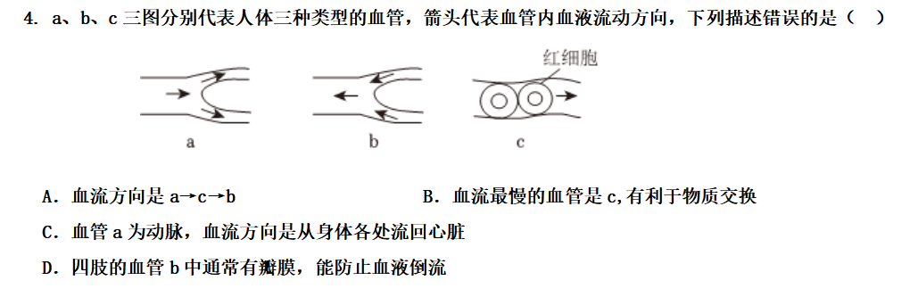 生物小中考复习课堂作业---  血液、血管 第6张