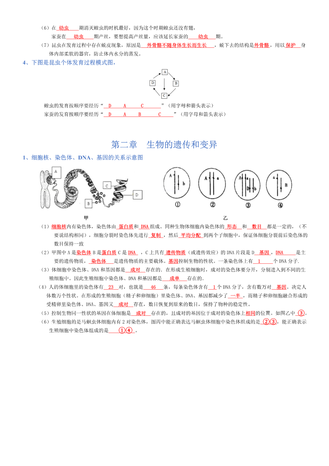 生物——八年级下册中考必背考点分册梳理 第2张