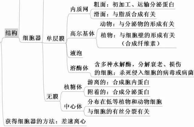 高考生物:高频考点总结,直观又详细! 第18张