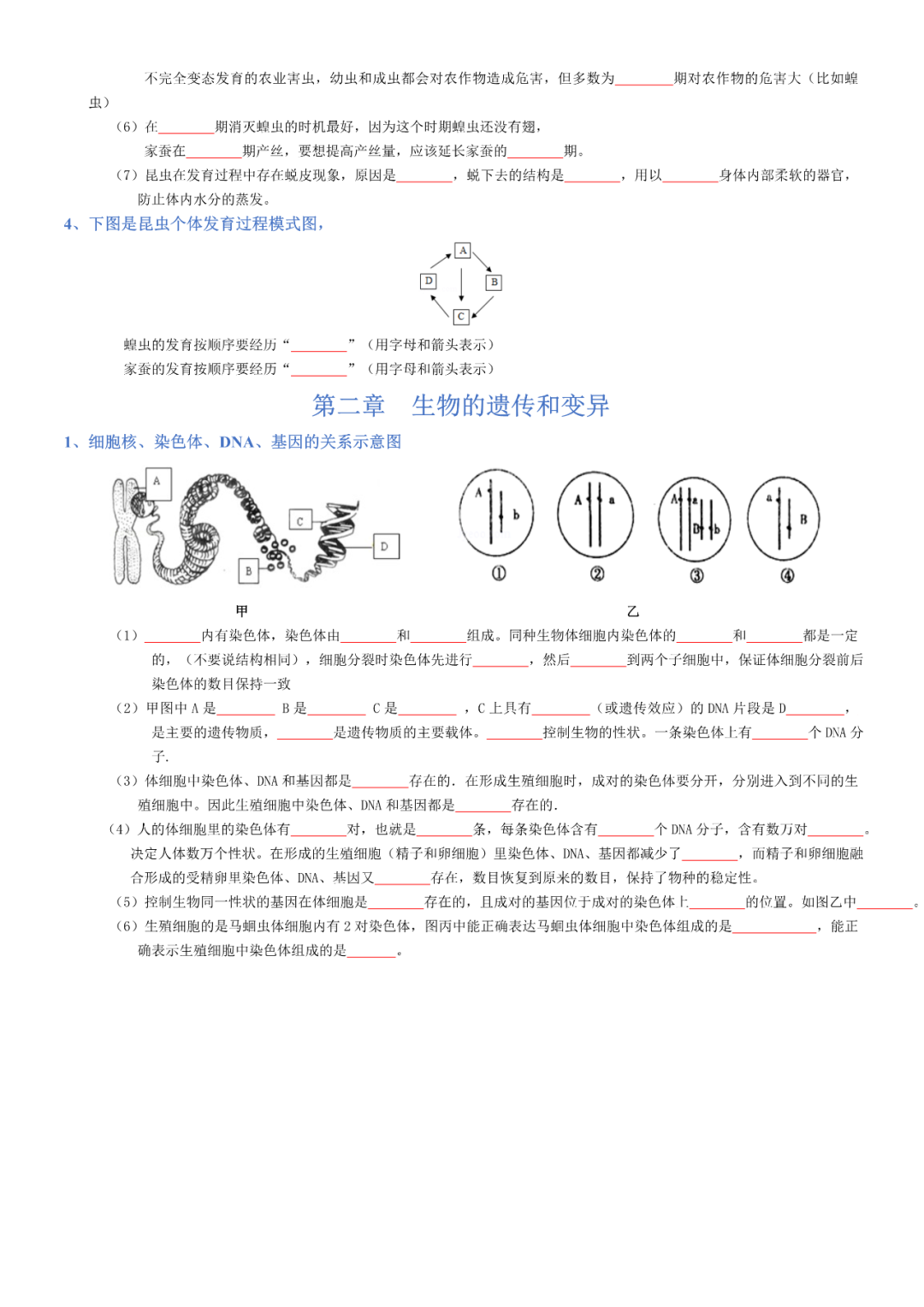 生物——八年级下册中考必背考点分册梳理 第18张