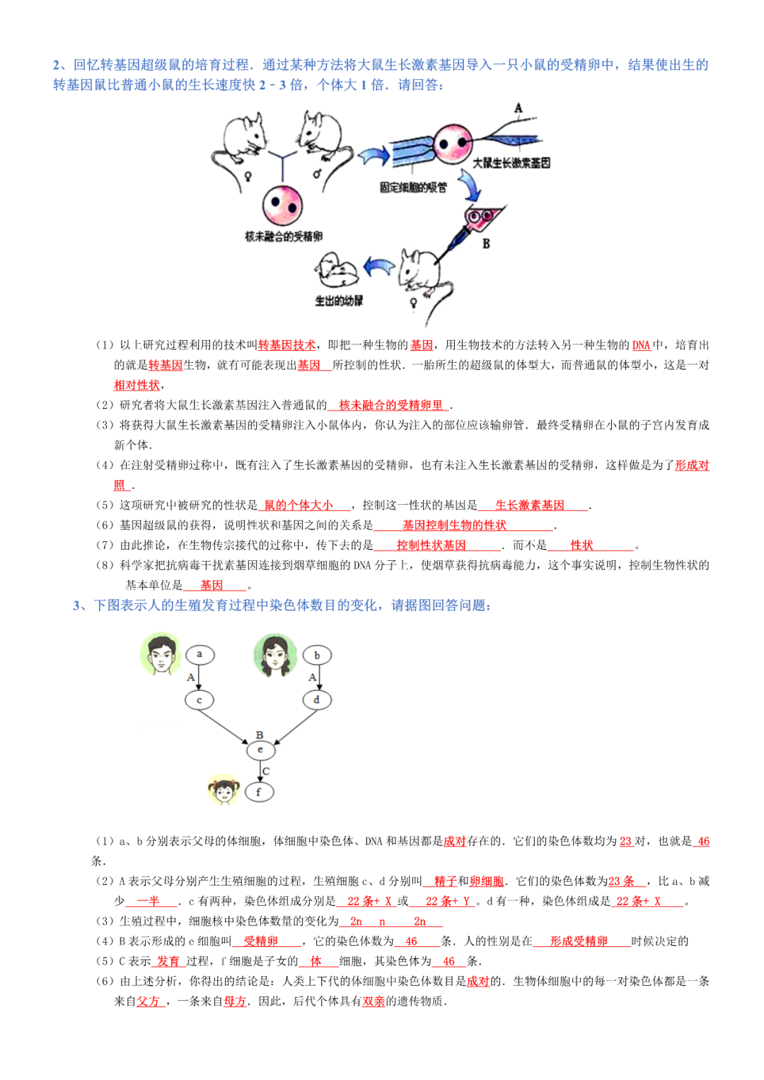 生物——八年级下册中考必背考点分册梳理 第3张