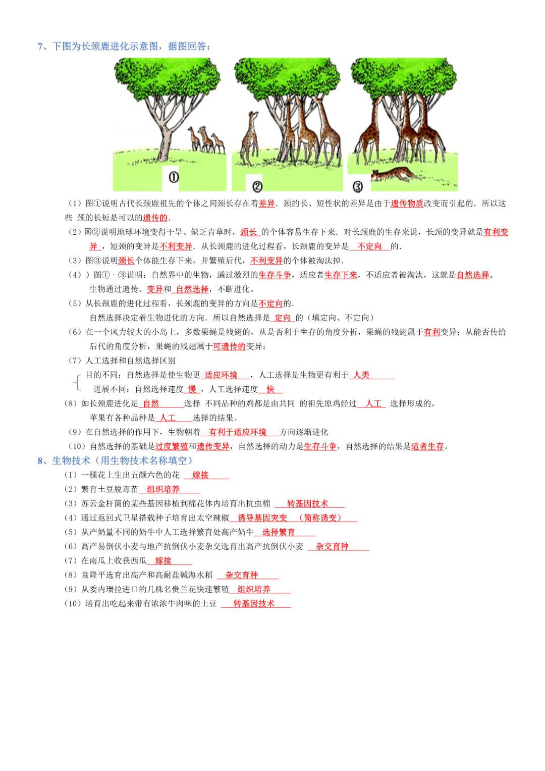 生物——八年级下册中考必背考点分册梳理 第9张