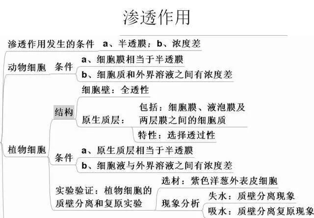 高考生物:高频考点总结,直观又详细! 第14张