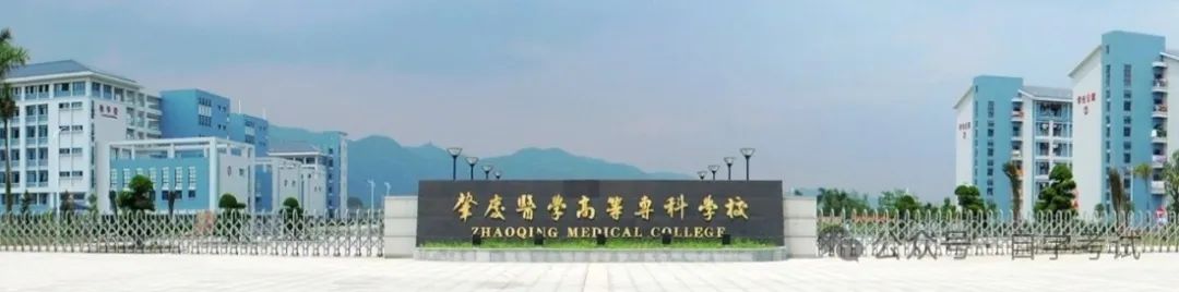 【广东成考】肇庆医学高等专科学校成人高考2024年招生 第1张