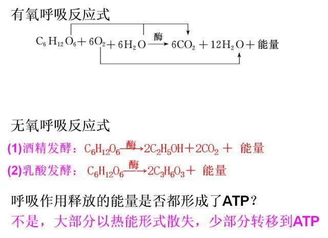 高考生物:高频考点总结,直观又详细! 第24张