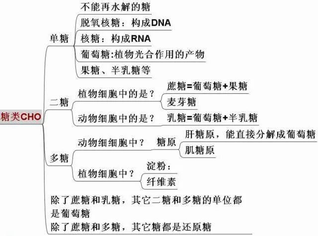 高考生物:高频考点总结,直观又详细! 第3张