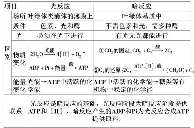 高考生物:高频考点总结,直观又详细! 第28张