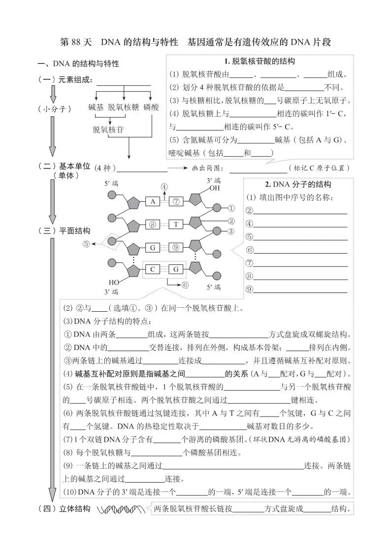 【高考必背】高中生必备,高中生物天天记,问题导学,180天有计划记忆基础知识 第18张