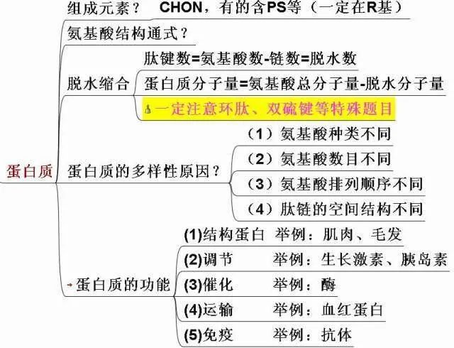 高考生物:高频考点总结,直观又详细! 第5张