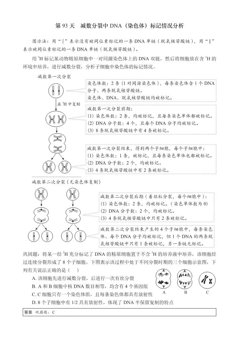 【高考必背】高中生必备,高中生物天天记,问题导学,180天有计划记忆基础知识 第19张