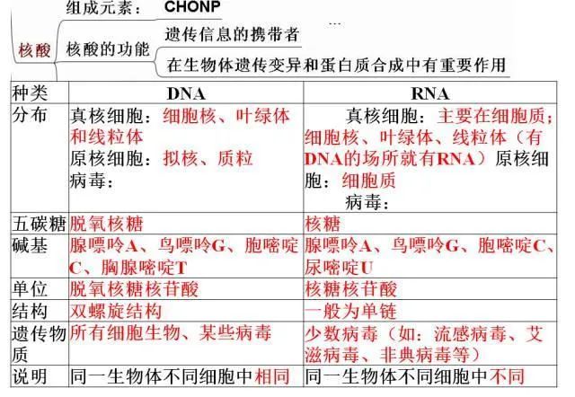 高考生物:高频考点总结,直观又详细! 第6张