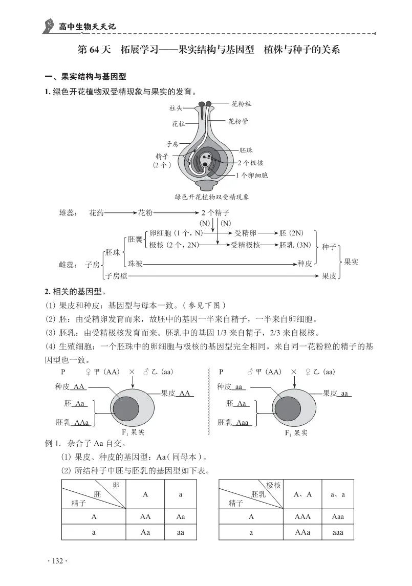 【高考必背】高中生必备,高中生物天天记,问题导学,180天有计划记忆基础知识 第15张