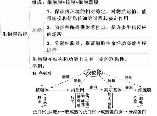 高考生物:高频考点总结,直观又详细! 第19张