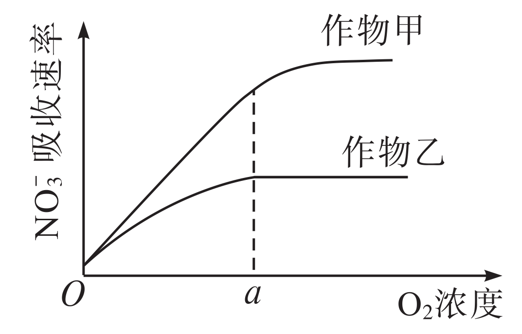 【高考真题】2022年全国乙卷生物试题 第2张