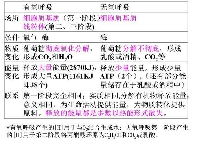 高考生物:高频考点总结,直观又详细! 第25张